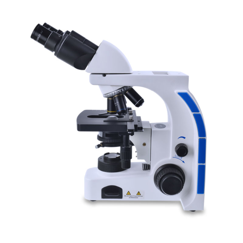 moulage au microscope