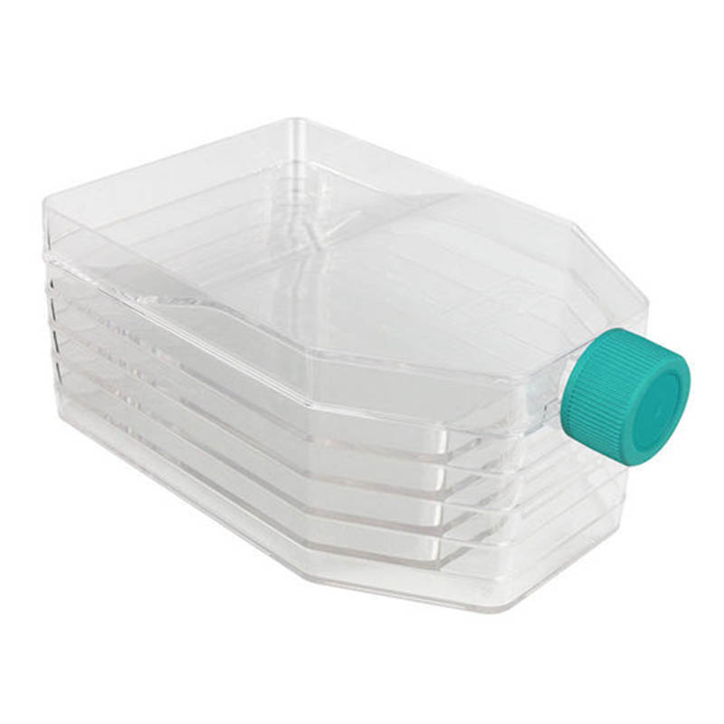 Culture de cellules plastiques Flasques Moulage